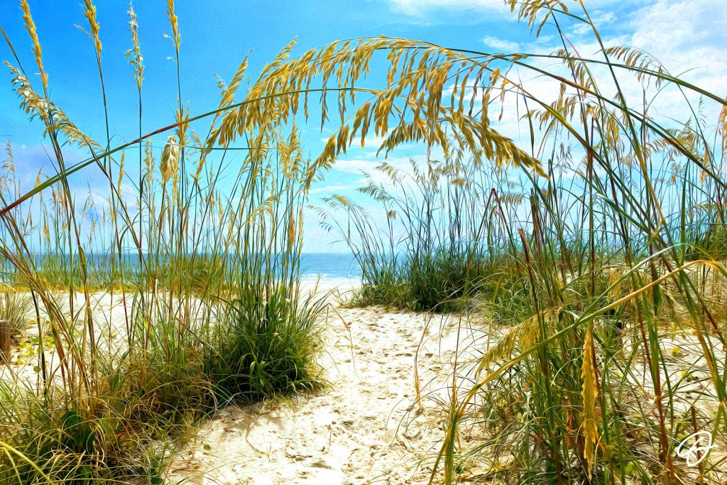 Keep Going artwork by Fabio Dal Boni – leafy arches leading to white sand and sea at Lido Beach