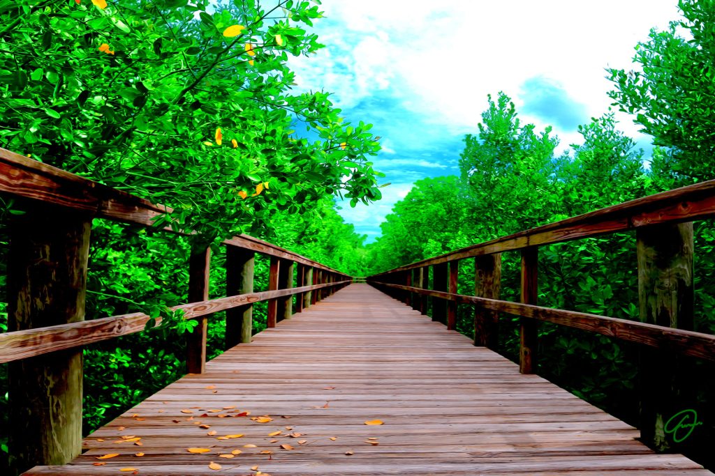 Seeking the Truth artwork by Fabio Dal Boni – Sarasota beach access with pier, green leaves, blue sky
