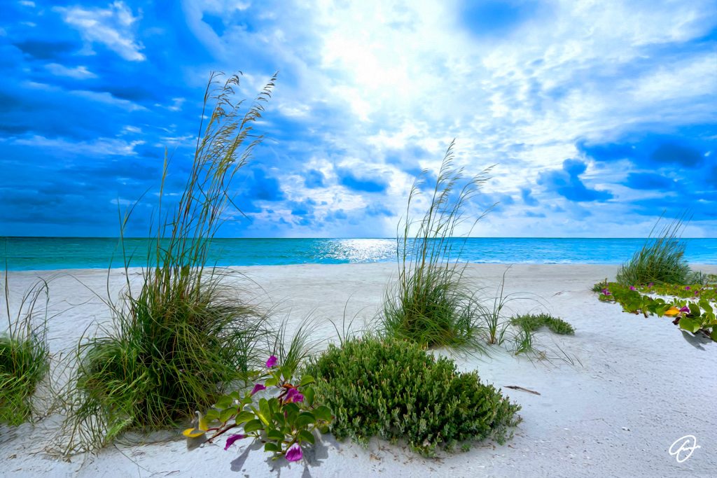 The First Time I Saw You by Fabio Dal Boni, tranquil Florida beach scene with sea oats, white sand, turquoise Gulf waters, and dramatic coastal sky.